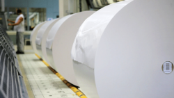 Since 2015 China has been regarded as the biggest national market for paper packaging. With nearly 25 per cent of global consumption, it has relegated the United States to second position. Photo: VDP