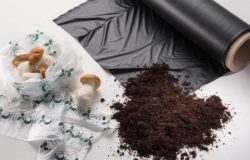 Bag and mulch films with ecovio by BASF