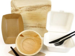 Biobasierte Verpackungsmaterialien: Bagasse, Palmblatt, Bambus sowie Karton und Papier aus nachhaltiger Forstwirtschaft. Foto: Bionatic