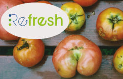 The European project REFRESH in Germany, Spain, Hungary and the Netherlands aims to promote anti-food-waste initiatives through alliances between governments, businesses and local interest groups.